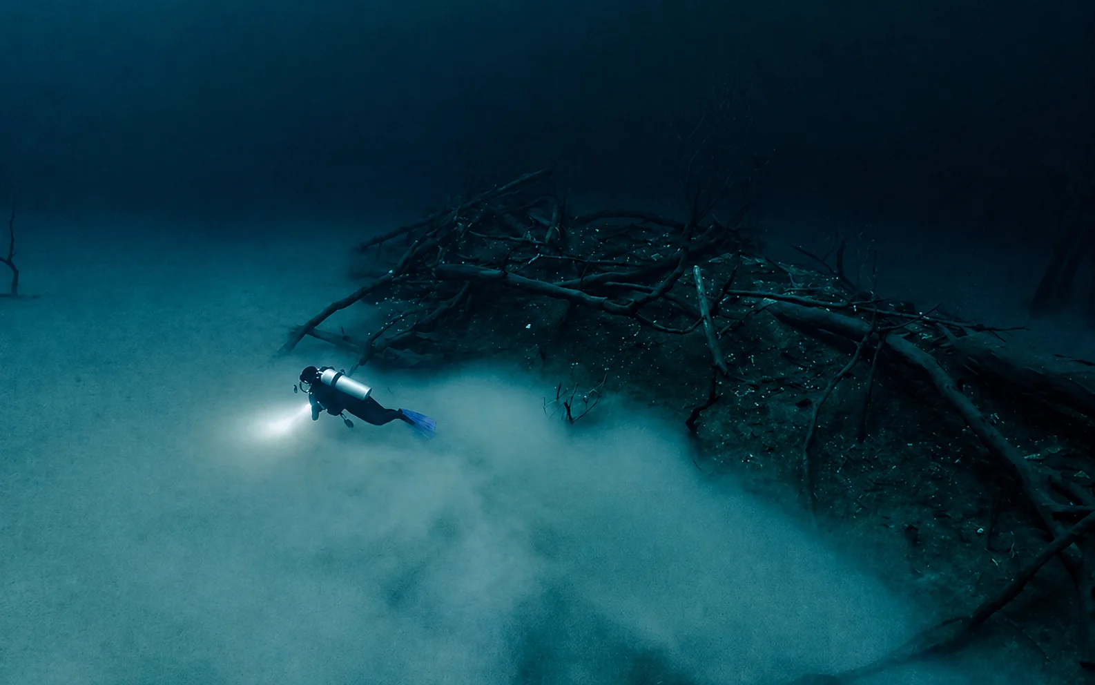 Ramas y nube dentro de Cenote Angelita